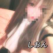 ヒメ日記 2026/02/28 11:35 投稿 しおん【ロイヤルOP対応】 あなたの全てを包み込む　優しいひとづま