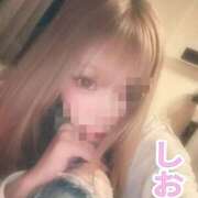 ヒメ日記 2026/03/06 11:45 投稿 しおん【ロイヤルOP対応】 あなたの全てを包み込む　優しいひとづま