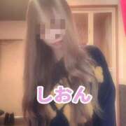 ヒメ日記 2026/03/23 11:46 投稿 しおん【ロイヤルOP対応】 あなたの全てを包み込む　優しいひとづま