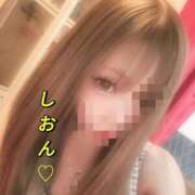 ヒメ日記 2026/03/24 15:36 投稿 しおん【ロイヤルOP対応】 あなたの全てを包み込む　優しいひとづま