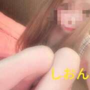ヒメ日記 2026/03/31 11:54 投稿 しおん【ロイヤルOP対応】 あなたの全てを包み込む　優しいひとづま