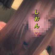 ヒメ日記 2026/04/02 12:05 投稿 しおん【ロイヤルOP対応】 あなたの全てを包み込む　優しいひとづま