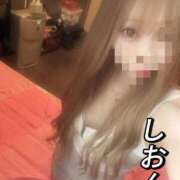 ヒメ日記 2026/04/03 16:57 投稿 しおん【ロイヤルOP対応】 あなたの全てを包み込む　優しいひとづま