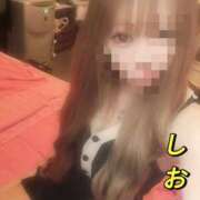 ヒメ日記 2026/04/06 12:05 投稿 しおん【ロイヤルOP対応】 あなたの全てを包み込む　優しいひとづま
