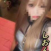 ヒメ日記 2026/04/20 11:46 投稿 しおん【ロイヤルOP対応】 あなたの全てを包み込む　優しいひとづま