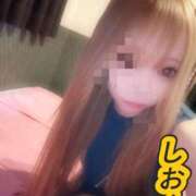 ヒメ日記 2026/04/25 11:55 投稿 しおん【ロイヤルOP対応】 あなたの全てを包み込む　優しいひとづま