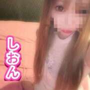 ヒメ日記 2026/05/15 10:55 投稿 しおん【ロイヤルOP対応】 あなたの全てを包み込む　優しいひとづま