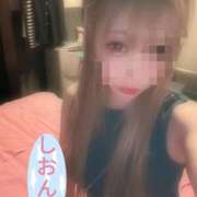 ヒメ日記 2026/05/22 11:01 投稿 しおん【ロイヤルOP対応】 あなたの全てを包み込む　優しいひとづま