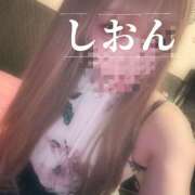 ヒメ日記 2026/05/26 12:22 投稿 しおん【ロイヤルOP対応】 あなたの全てを包み込む　優しいひとづま