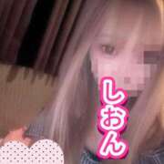 ヒメ日記 2026/06/02 11:35 投稿 しおん【ロイヤルOP対応】 あなたの全てを包み込む　優しいひとづま