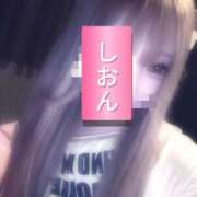 ヒメ日記 2026/06/09 10:59 投稿 しおん【ロイヤルOP対応】 あなたの全てを包み込む　優しいひとづま