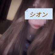 ヒメ日記 2026/06/10 13:44 投稿 しおん【ロイヤルOP対応】 あなたの全てを包み込む　優しいひとづま