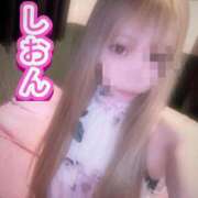 ヒメ日記 2026/06/18 11:59 投稿 しおん【ロイヤルOP対応】 あなたの全てを包み込む　優しいひとづま