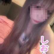 ヒメ日記 2026/07/03 09:56 投稿 しおん【ロイヤルOP対応】 あなたの全てを包み込む　優しいひとづま