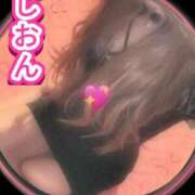 ヒメ日記 2026/07/09 13:35 投稿 しおん【ロイヤルOP対応】 あなたの全てを包み込む　優しいひとづま