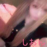 ヒメ日記 2026/07/20 13:38 投稿 しおん【ロイヤルOP対応】 あなたの全てを包み込む　優しいひとづま