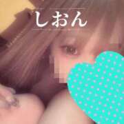 ヒメ日記 2026/07/24 11:04 投稿 しおん【ロイヤルOP対応】 あなたの全てを包み込む　優しいひとづま