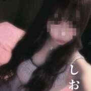 ヒメ日記 2026/08/02 10:45 投稿 しおん【ロイヤルOP対応】 あなたの全てを包み込む　優しいひとづま