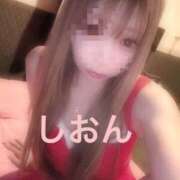 ヒメ日記 2026/09/07 11:42 投稿 しおん【ロイヤルOP対応】 あなたの全てを包み込む　優しいひとづま