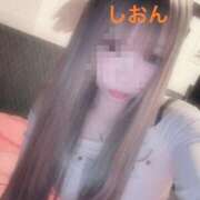 ヒメ日記 2026/09/14 12:50 投稿 しおん【ロイヤルOP対応】 あなたの全てを包み込む　優しいひとづま