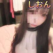 ヒメ日記 2026/10/12 12:47 投稿 しおん【ロイヤルOP対応】 あなたの全てを包み込む　優しいひとづま