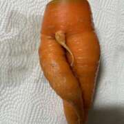 ヒメ日記 2025/12/18 18:33 投稿 れな モアグループ熊谷人妻花壇