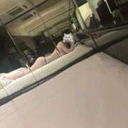 ヒメ日記 2026/02/16 16:50 投稿 なゆ 黒い金魚（札幌）