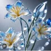 ヒメ日記 2026/04/13 01:44 投稿 せりか 北九州人妻倶楽部（三十路、四十路、五十路）