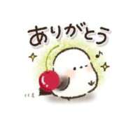 ヒメ日記 2026/06/19 02:50 投稿 せりか 北九州人妻倶楽部（三十路、四十路、五十路）