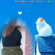 ヒメ日記 2026/07/22 05:02 投稿 せりか 北九州人妻倶楽部（三十路、四十路、五十路）