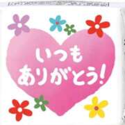 ヒメ日記 2026/09/11 02:54 投稿 せりか 北九州人妻倶楽部（三十路、四十路、五十路）