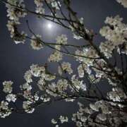 ヒメ日記 2026/04/01 07:42 投稿 ゆか 千葉人妻セレブリティ（ユメオト）