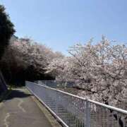 ヒメ日記 2026/04/10 07:01 投稿 ゆか 千葉人妻セレブリティ（ユメオト）