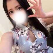 ヒメ日記 2025/03/29 09:10 投稿 りん 海上空天 SHANGHAI HEAVEN