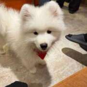 ヒメ日記 2025/08/08 00:16 投稿 かなで KUROKIN-黒い金魚-