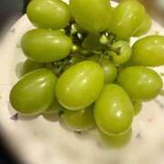 ヒメ日記 2025/08/20 23:24 投稿 かなで KUROKIN-黒い金魚-