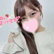 ヒメ日記 2025/11/15 10:31 投稿 かなで KUROKIN-黒い金魚-