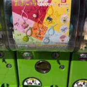 ヒメ日記 2026/03/19 15:10 投稿 かなで KUROKIN-黒い金魚-