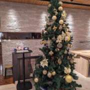 ヒメ日記 2024/12/15 11:15 投稿 ひさえ 奥様の実話 梅田店