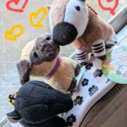 ヒメ日記 2025/08/08 07:08 投稿 ひさえ 奥様の実話 梅田店