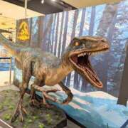 ヒメ日記 2025/08/10 16:08 投稿 ひさえ 奥様の実話 梅田店