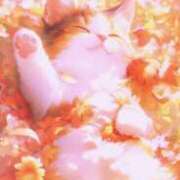 ヒメ日記 2025/11/03 12:44 投稿 ひさえ 奥様の実話 梅田店