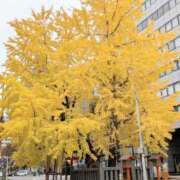 ヒメ日記 2025/11/27 01:09 投稿 ひさえ 奥様の実話 梅田店