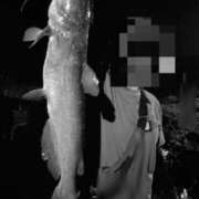 ヒメ日記 2026/03/02 15:00 投稿 桜木 ちな こあくまな熟女たち伊勢崎店（KOAKUMAグループ）