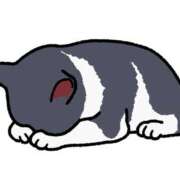 ヒメ日記 2025/03/18 00:28 投稿 はるな VIVIDCREW十三店