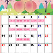 ヒメ日記 2025/06/30 23:55 投稿 はるな VIVIDCREW十三店