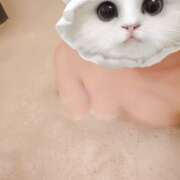 ヒメ日記 2025/11/14 23:02 投稿 はるな VIVIDCREW十三店