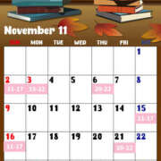 ヒメ日記 2025/11/17 09:40 投稿 はるな VIVIDCREW十三店