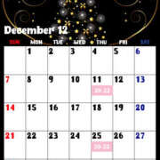 ヒメ日記 2025/11/27 23:54 投稿 はるな VIVIDCREW十三店