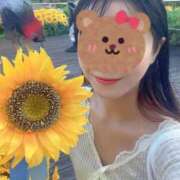 菊池(きくち) わたしのなつやすみ 八王子人妻城